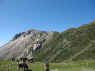 IMG_3387.JPG