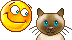 rag.gif