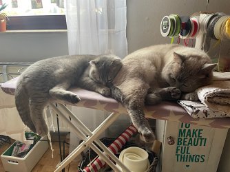 IMG_2821.jpeg