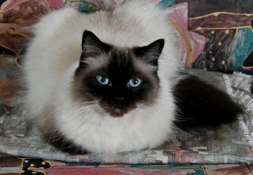 DSC_0162.JPG