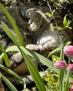 IMG_0395.jpeg