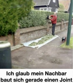 IMG_4742.jpeg