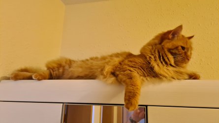 20210808_071050.jpg