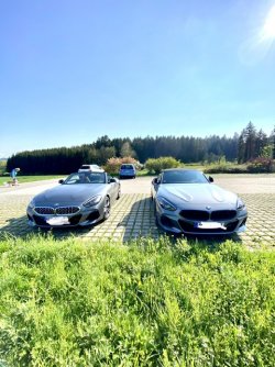 IMG_6701.jpeg