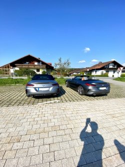 IMG_6699.jpeg