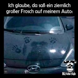 FB_IMG_1683212687930.jpg