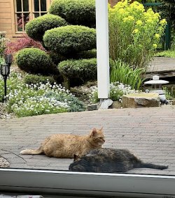 IMG_4883.jpeg