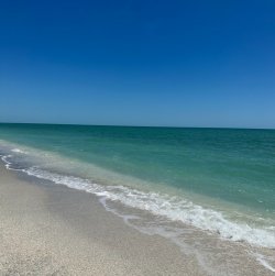 IMG_0464.jpeg
