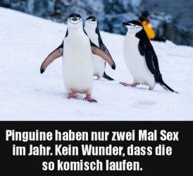 9Unbenannt - Kopie.JPG