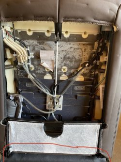 IMG_8150.jpeg IMG_8150.jpeg