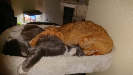 DSC_0851.JPG