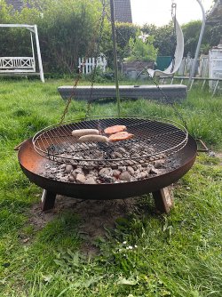 IMG_2944.jpeg