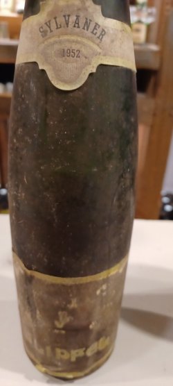 20230505_141447.jpg