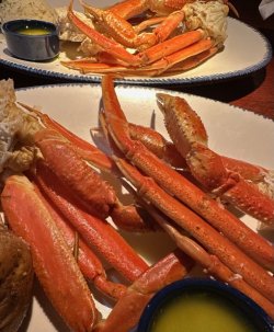IMG_0913.jpeg