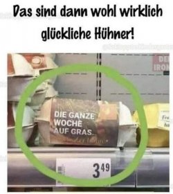 1Unbenannt - Kopie.JPG