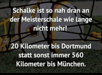 Schalke.jpg