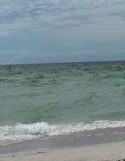 IMG_0932.jpeg