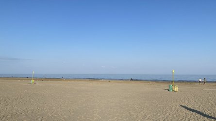 IMG_5385.jpeg