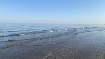 IMG_5387.jpeg