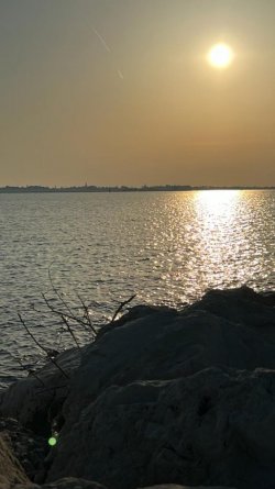 e86535ab-b88b-4a7f-891c-37da52ed6267.jpeg