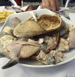 IMG_0945.jpeg