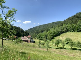 IMG_1463.jpeg