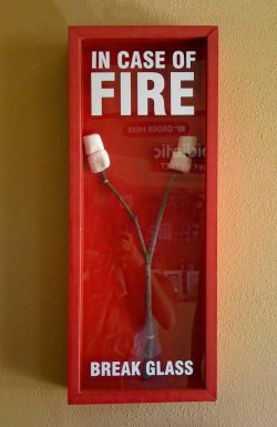 picdump_kw21_2023-034.jpg