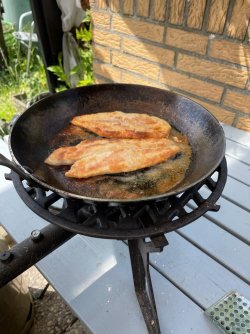IMG_2981.jpeg