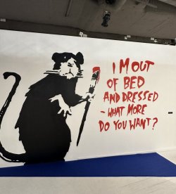 IMG_0973.jpeg