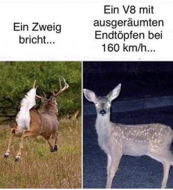 IMG_0825.jpeg