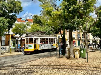 IMG_0475.jpeg IMG_0475.jpeg