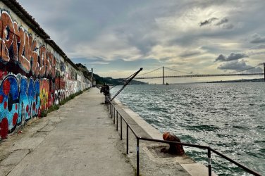 IMG_0571.jpeg IMG_0571.jpeg