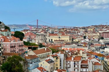 IMG_0481.jpeg IMG_0481.jpeg