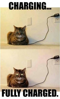 1326215345-Top-20-most-funniest-quotes-f-this-week.jpg