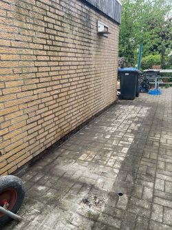 IMG_2957.jpeg