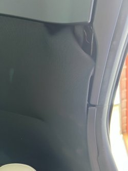 IMG_6955.jpeg