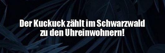 3Unbenannt - Kopie.JPG