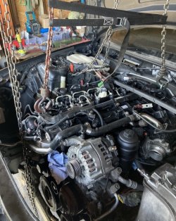 IMG_3027.jpeg