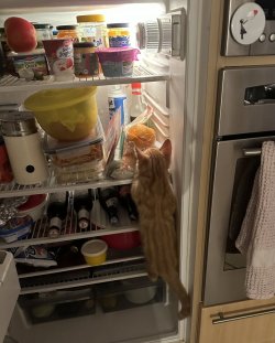 IMG_1113.jpeg