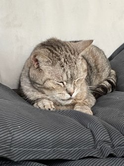IMG_3040.jpeg