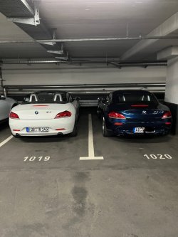 IMG_3652.jpeg