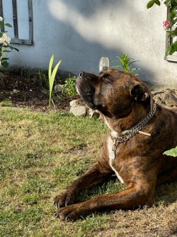 IMG_5605.jpeg