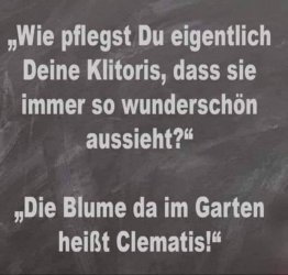 FB_IMG_1686744370866.jpg