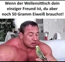 FB_IMG_1686773366289.jpg