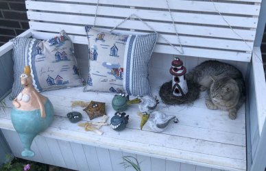 IMG_3082.jpeg
