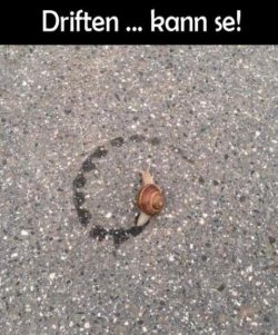1Unbenannt - Kopie.JPG