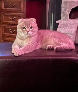 IMG_3104.jpeg