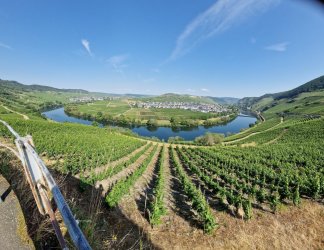 20230616_102308_resized.jpg 20230616_102308_resized.jpg