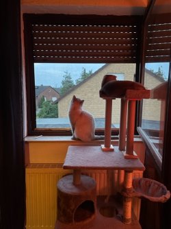IMG_3132.jpeg