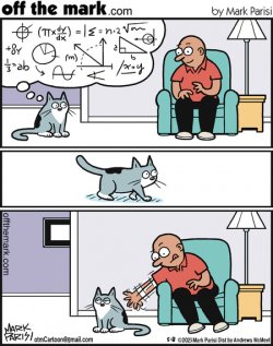 -.jpg
